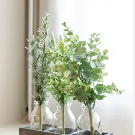 La Pinella تورينو